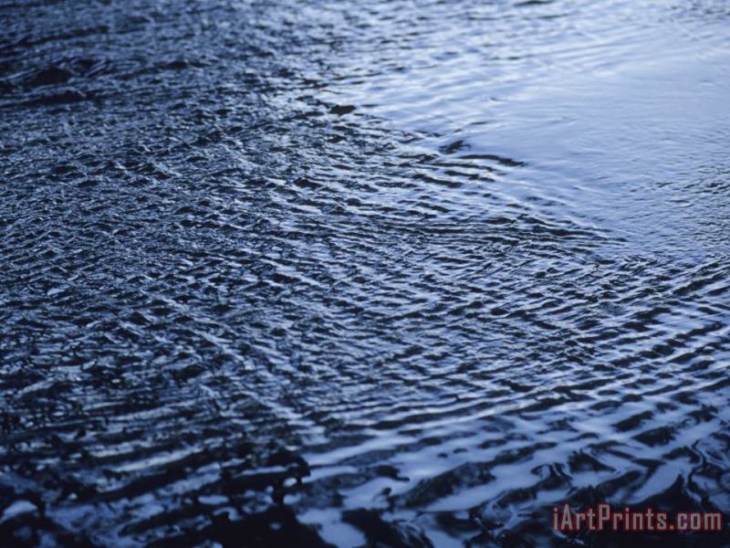 Ripples on The Surface of Tom's Creek painting - Raymond Gehman Ripples on The Surface of Tom's Creek Art Print
