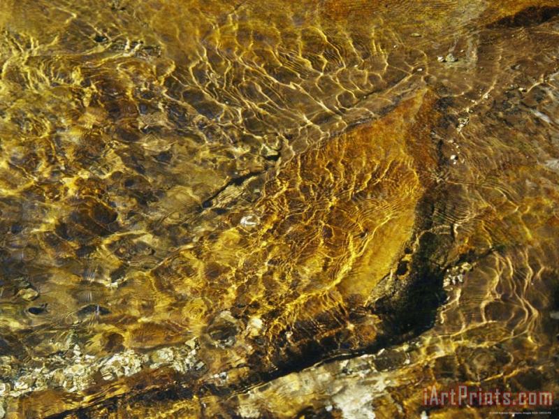 Rippling Water in Jefferson National Forest painting - Raymond Gehman Rippling Water in Jefferson National Forest Art Print