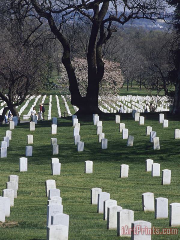 Raymond Gehman Rows of Tombstones Line The Fields of Arlington National Cemetery Art Print