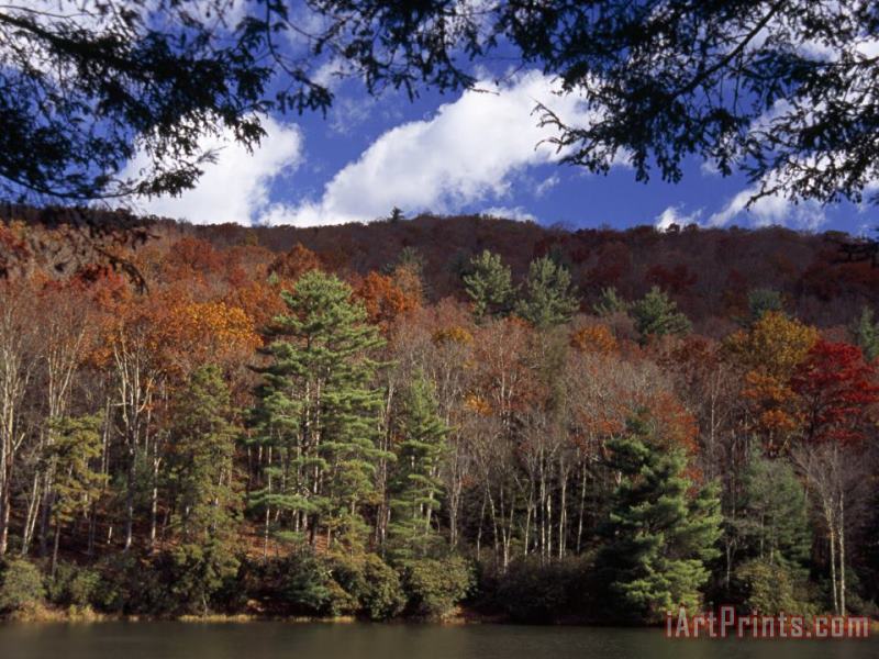Scenic Autumn View of Watoga Lake And Surrounding Forest painting - Raymond Gehman Scenic Autumn View of Watoga Lake And Surrounding Forest Art Print