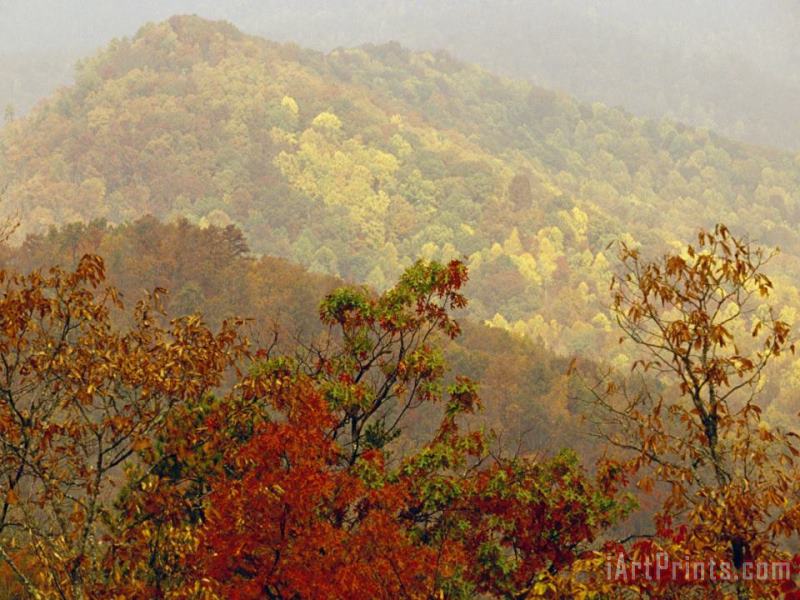 Scenic Mountain View with Forests in Autumn Colors painting - Raymond Gehman Scenic Mountain View with Forests in Autumn Colors Art Print