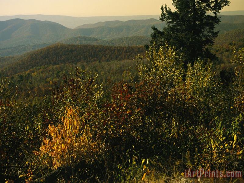 Raymond Gehman Scenic Overlook at Tanners Ridge with Blue Ridge Mountains Beyond Art Print