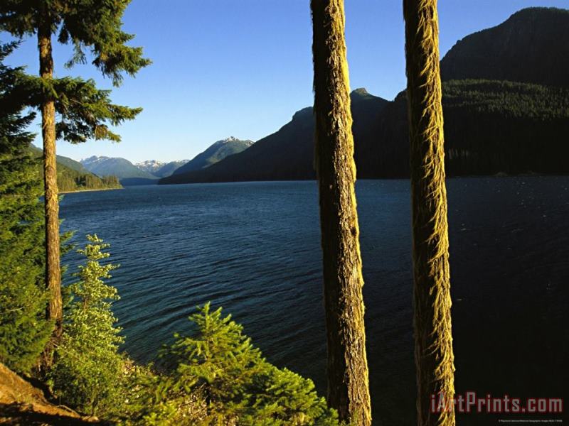 Raymond Gehman Scenic View of Mountains Water And Forests Art Print