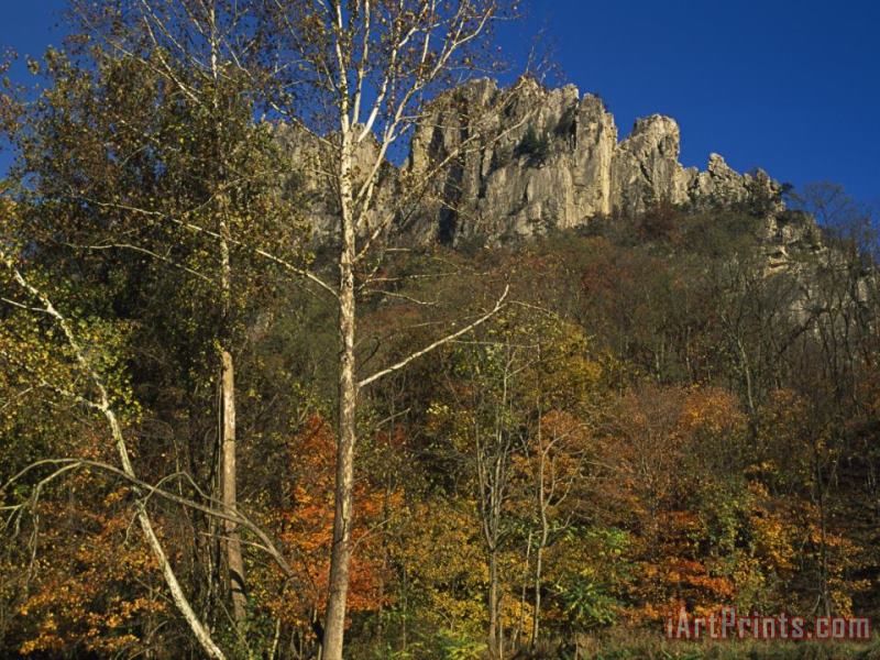 Raymond Gehman Seneca Rocks with Trees in Autumn Hues Art Painting