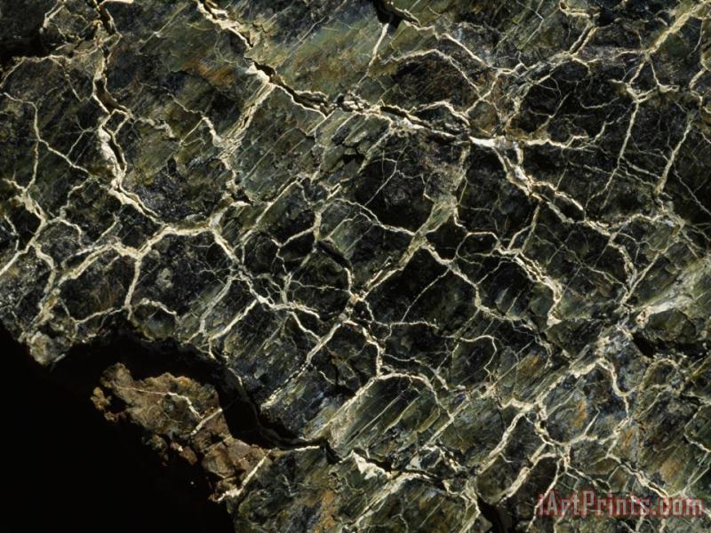 Serpentinite Marked by Veins of Green in Scale Patterns Tablelands Gros Morne painting - Raymond Gehman Serpentinite Marked by Veins of Green in Scale Patterns Tablelands Gros Morne Art Print