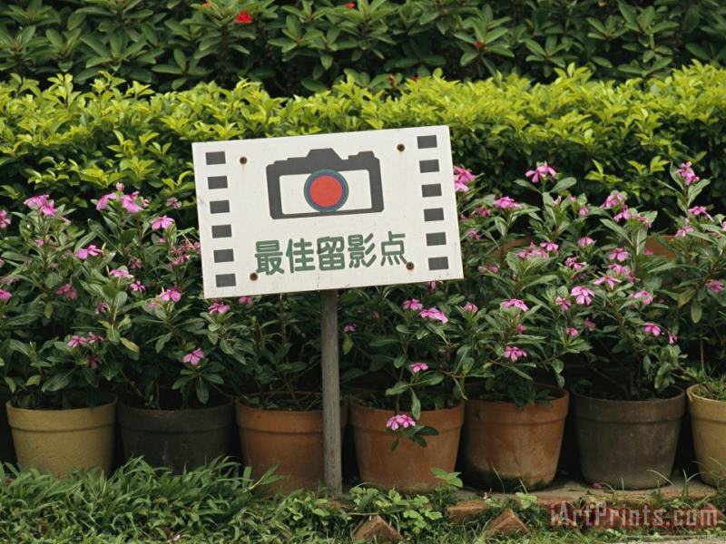Sign in Front of Blooming Plants Indicates a Photo Opportunity painting - Raymond Gehman Sign in Front of Blooming Plants Indicates a Photo Opportunity Art Print