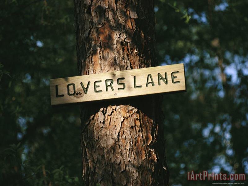 Raymond Gehman Sign on a Tree Marks Lovers Lane Art Print