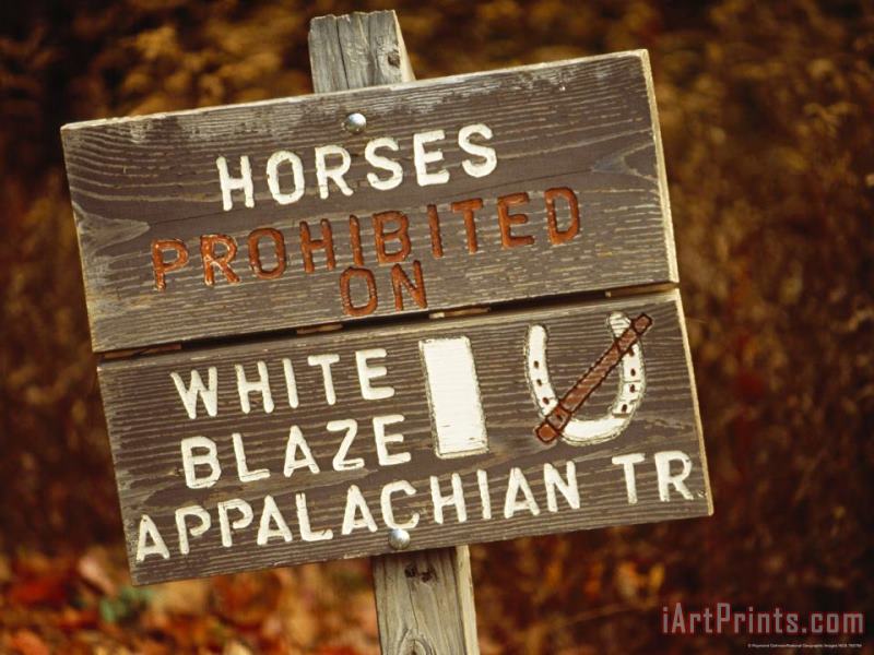 Sign Prohibiting Horses on The Appalachian Trail painting - Raymond Gehman Sign Prohibiting Horses on The Appalachian Trail Art Print