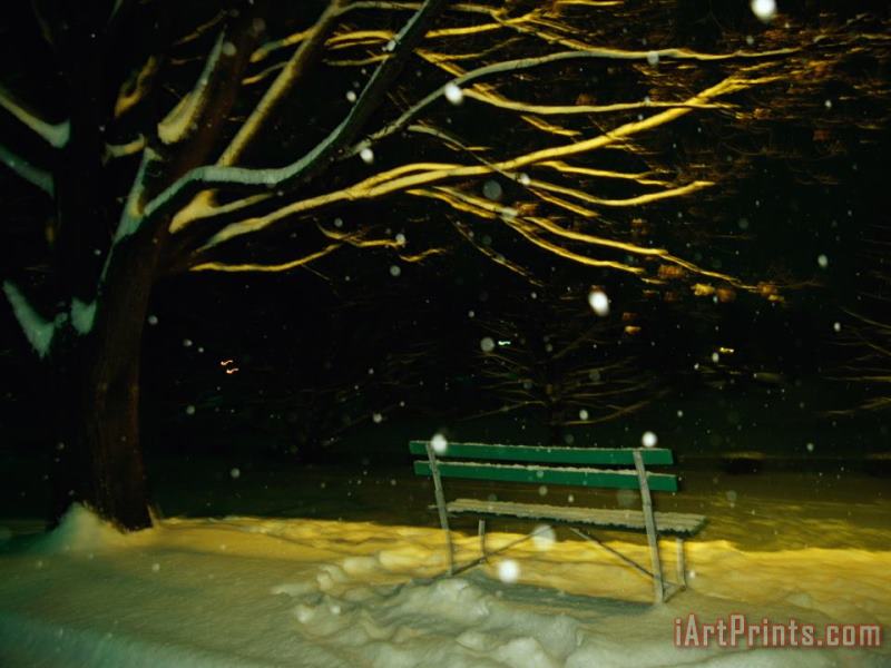 Raymond Gehman Snow Falls on a Park Bench at Night Art Print
