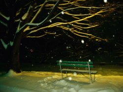 Raymond Gehman Snow Falls on a Park Bench at Night