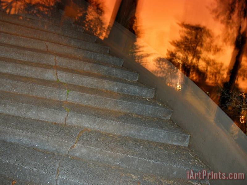 Raymond Gehman Staircase And Silhouetted Trees in Buena Vista Park San Francisco Art Print