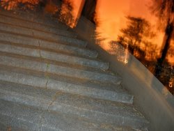 Raymond Gehman Staircase And Silhouetted Trees in Buena Vista Park San Francisco