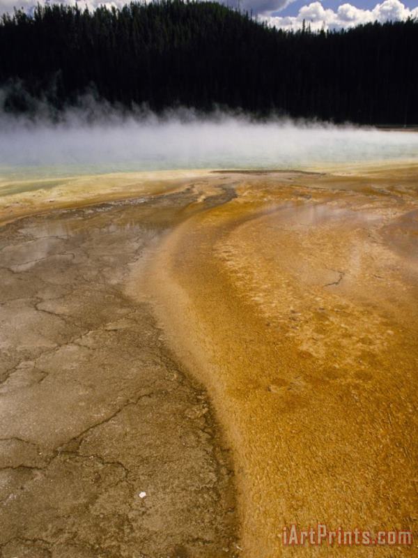 Raymond Gehman Steam Rises From Grand Prismatic Largest of Yellowstone's Thermal Springs Art Painting