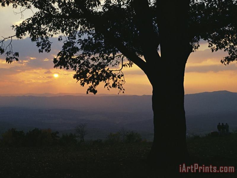 Sunset And Silhouetted Oak Tree Over The Shenandoah Valley Dickeys Ridge Visitors Center painting - Raymond Gehman Sunset And Silhouetted Oak Tree Over The Shenandoah Valley Dickeys Ridge Visitors Center Art Print