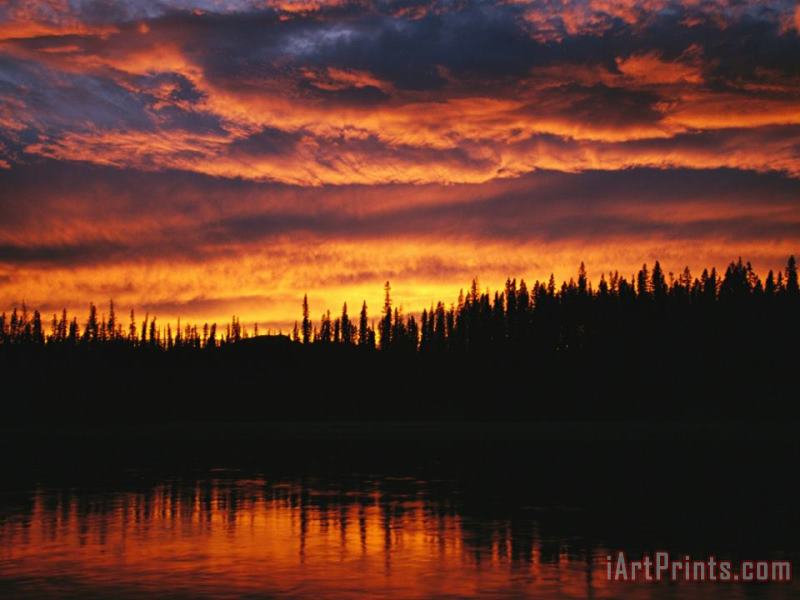 Raymond Gehman Sunset Is Reflected in The Mackenzie River Art Painting