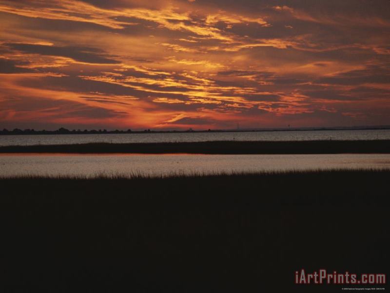 Sunset Over a Salt Marsh with Cordgrass painting - Raymond Gehman Sunset Over a Salt Marsh with Cordgrass Art Print