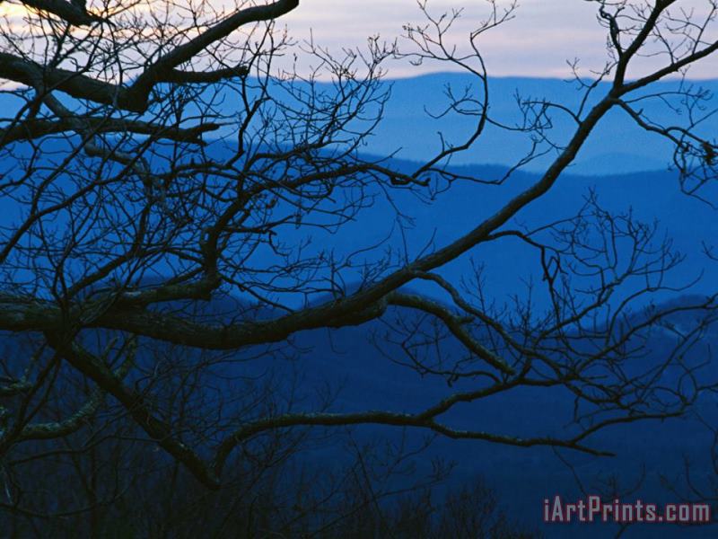 Raymond Gehman Sunset Through Silhouetted Tree Branches And Over Mountains Art Print