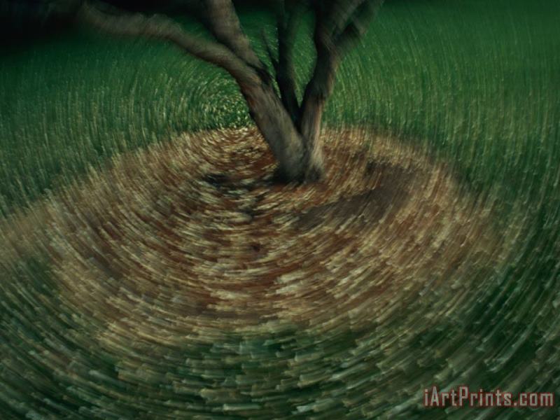 Swirls of Light Around a Tree Trunk painting - Raymond Gehman Swirls of Light Around a Tree Trunk Art Print