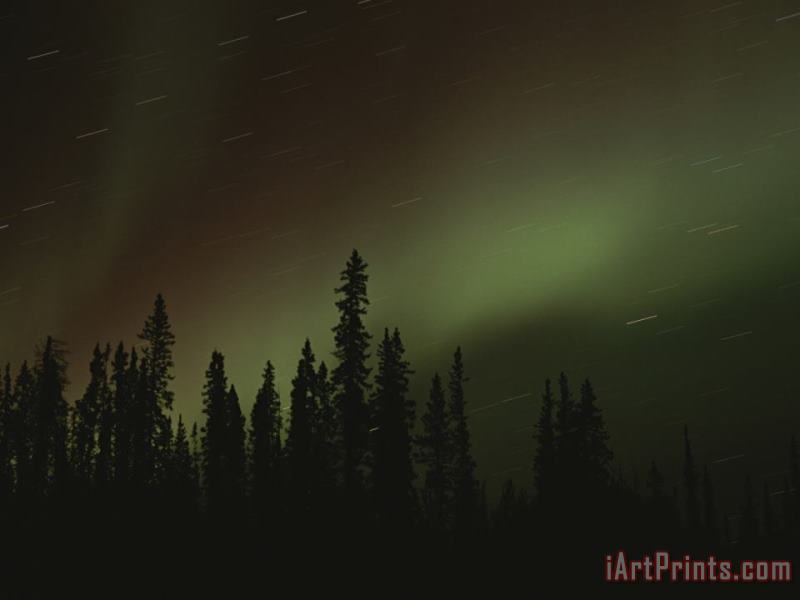 Raymond Gehman The Aurora Borealis Puts on a Light Show Above The Mackenzie River Art Print