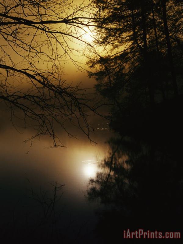 The Morning Sun Is Reflected on Otter Lake painting - Raymond Gehman The Morning Sun Is Reflected on Otter Lake Art Print