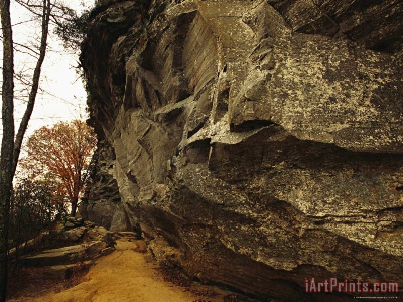 Raymond Gehman The Trail at The Foot of Raven Rock 150 Foot Tall Quartzite Rock Art Painting