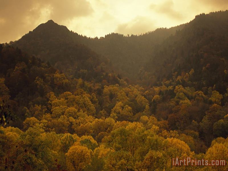 Raymond Gehman Trees in Autumn Hues Covering Ancient Mountain Ridges Art Print