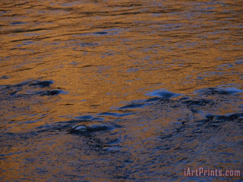 Twilight Sun Reflects on The Waters of The Madison River painting - Raymond Gehman Twilight Sun Reflects on The Waters of The Madison River Art Print