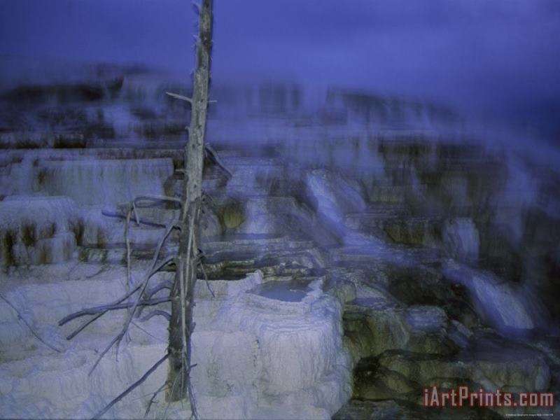 Raymond Gehman Twilight Winter View of Mammoth Hot Springs Art Painting