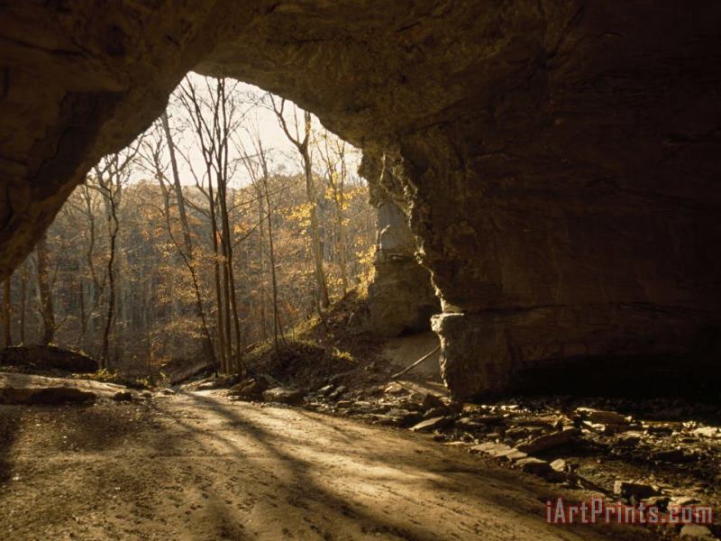 Raymond Gehman View Looking Out From The Mouth of a Cave Looking Out Into a Forest Art Print