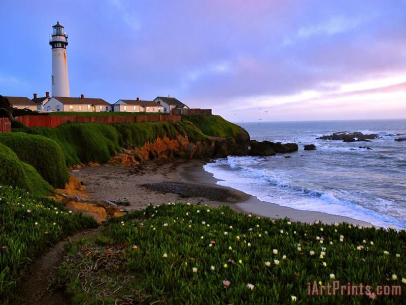 View of Pigeon Point Lighthouse Off Scenic Route 1 California painting - Raymond Gehman View of Pigeon Point Lighthouse Off Scenic Route 1 California Art Print