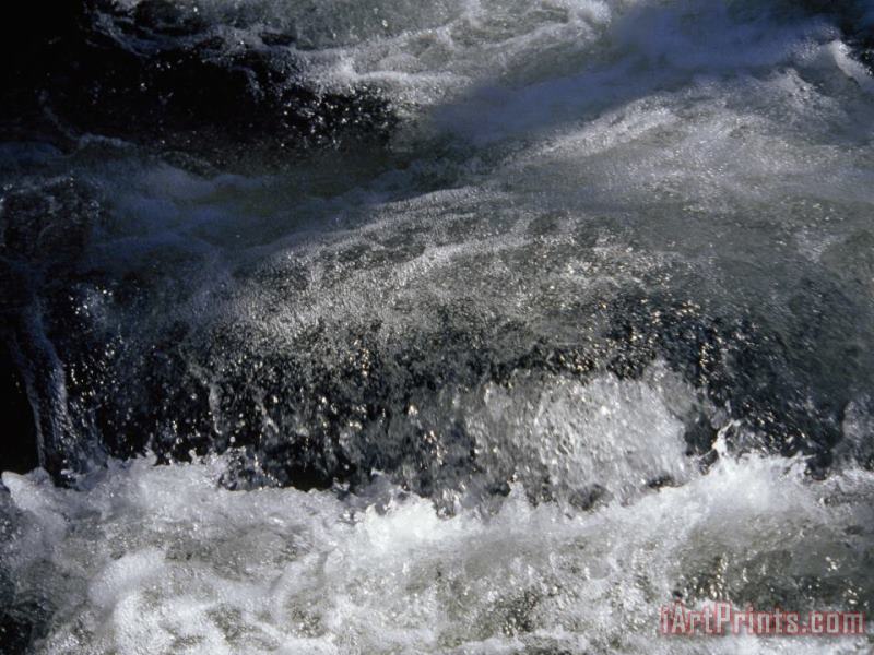 Water Burbling And Frothing Through The Nantahala River Gorge painting - Raymond Gehman Water Burbling And Frothing Through The Nantahala River Gorge Art Print