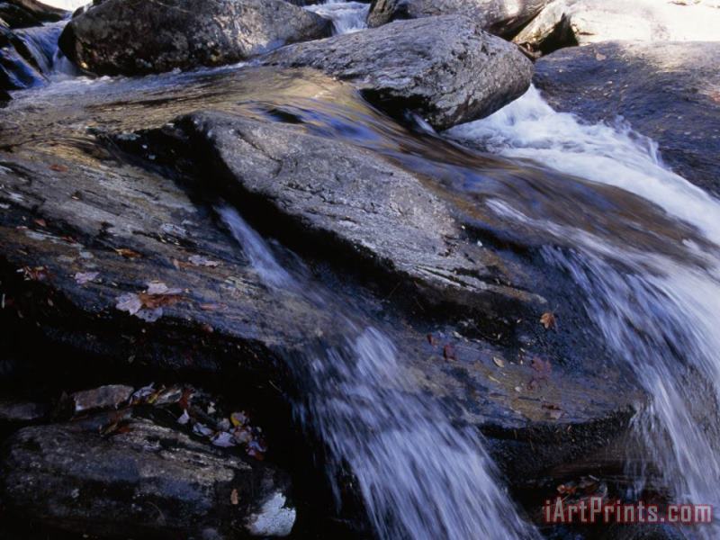 Water Cascading Over Stones in The Whitewater River painting - Raymond Gehman Water Cascading Over Stones in The Whitewater River Art Print