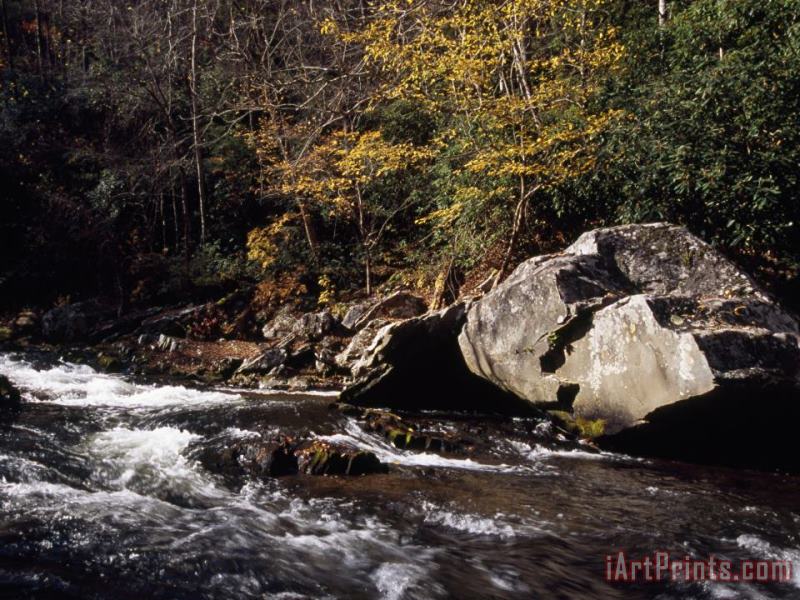 Water Rushing Through an Autumn Scene in The Nantahala River Gorge painting - Raymond Gehman Water Rushing Through an Autumn Scene in The Nantahala River Gorge Art Print