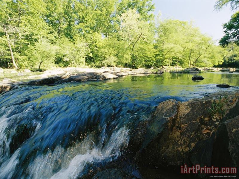 Waterfalls on The Eno River Passing Through a Hardwood Forest painting - Raymond Gehman Waterfalls on The Eno River Passing Through a Hardwood Forest Art Print