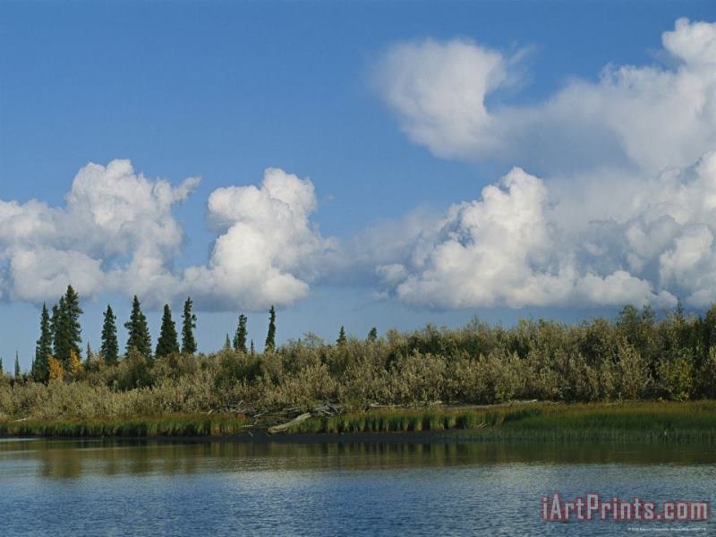 White Clouds Form Above The Mackenzie River Delta painting - Raymond Gehman White Clouds Form Above The Mackenzie River Delta Art Print