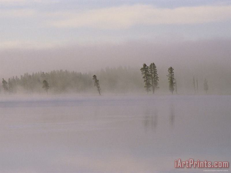 Raymond Gehman Yellowstone River in Dawn Mist Art Painting