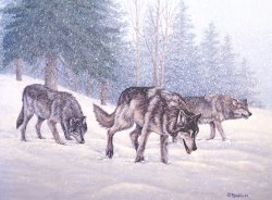 Richard De Wolfe Following the Scent