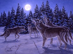 Richard De Wolfe The Howling