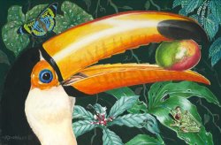 Richard De Wolfe Tropical Rain Forest Toucan