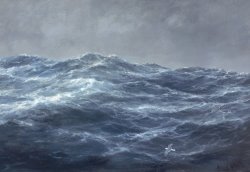 Richard Willis The Gull's Way