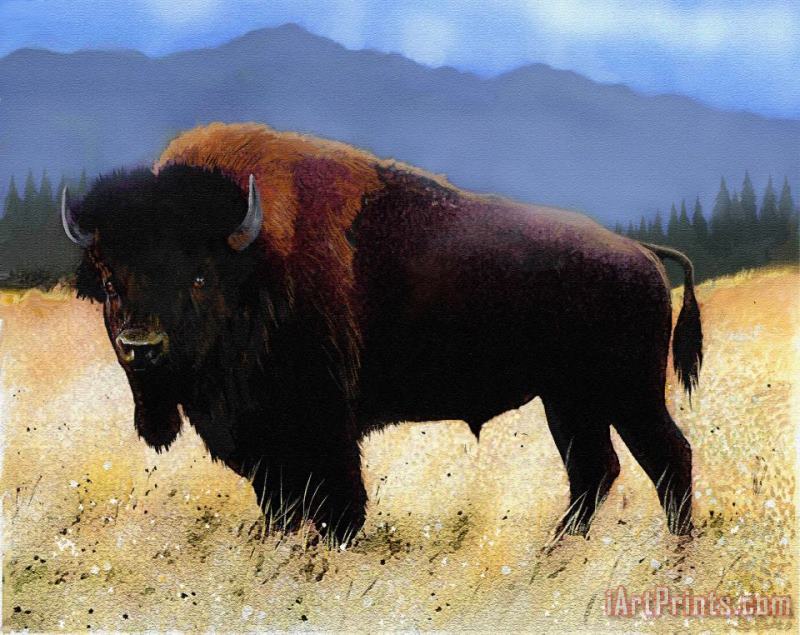 Big Bison painting - Robert Foster Big Bison Art Print