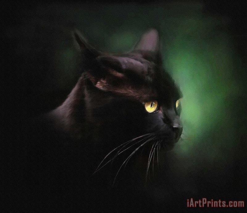 Robert Foster Black Cat Art Print