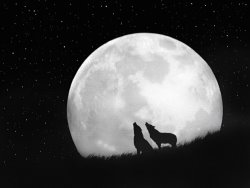 Robert Foster Perigee