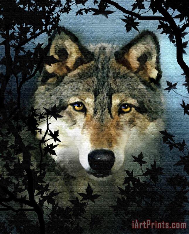 Timber Wolf painting - Robert Foster Timber Wolf Art Print
