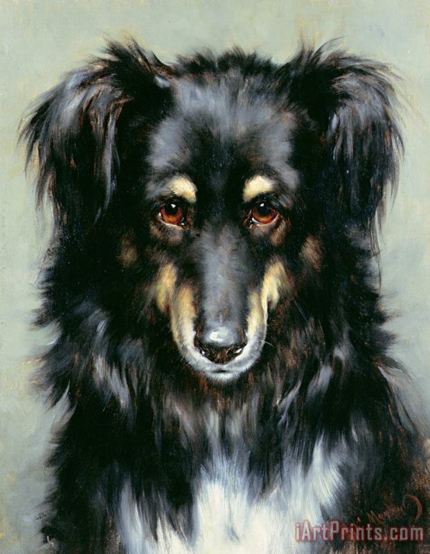 Robert Morley A Black and Tan Collie Art Painting