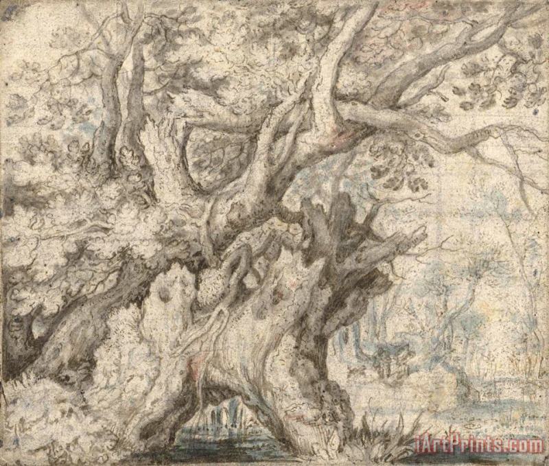 Roelant Savery Gnarled Trees Near The Water Art Painting