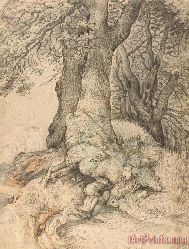 Roelant Savery Study of Tree Trunks And Roots Art Print