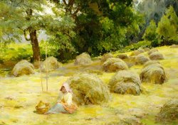 Rosa Appleton Haytime