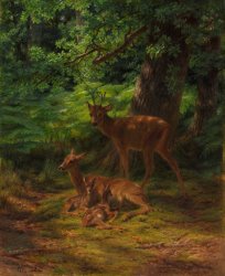 Rosa Bonheur Deer in Repose painting