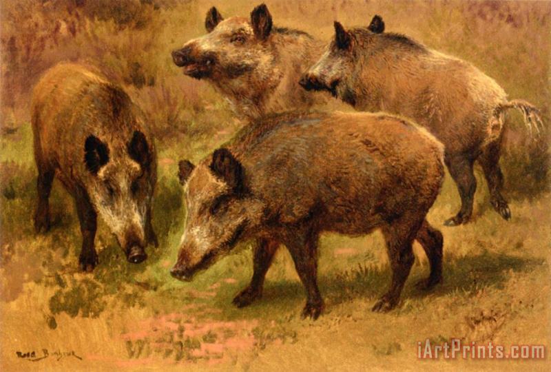 Four Boars in a Landscape painting - Rosa Bonheur Four Boars in a Landscape Art Print